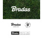 Bradas